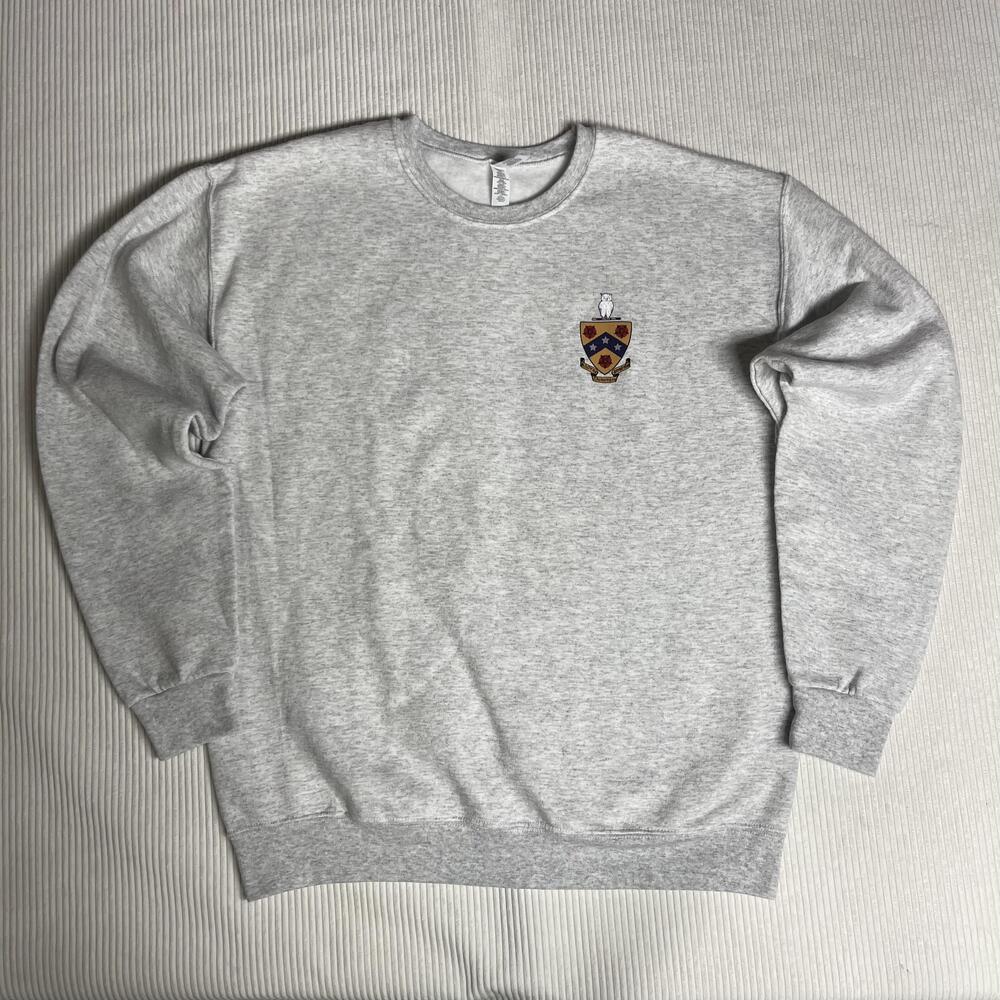 00s Jerzees Phi Gamma Delta Greek Mens Large Gray Fleece Y2k Crewneck